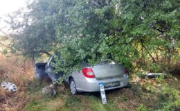 Samsun’da meyve bahçesine dalan otomobilin çarptığı kazada 3 kişi yaralandı