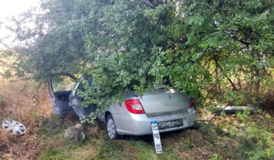 Samsun’da meyve bahçesine dalan otomobilin çarptığı kazada 3 kişi yaralandı