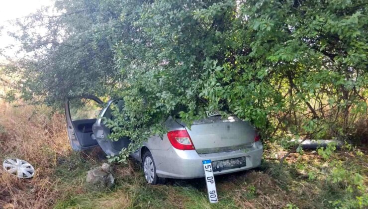 Samsun’da meyve bahçesine dalan otomobilin çarptığı kazada 3 kişi yaralandı